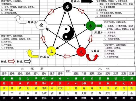 天干属性|「四柱八字」十天干的五行属性和阴阳属性